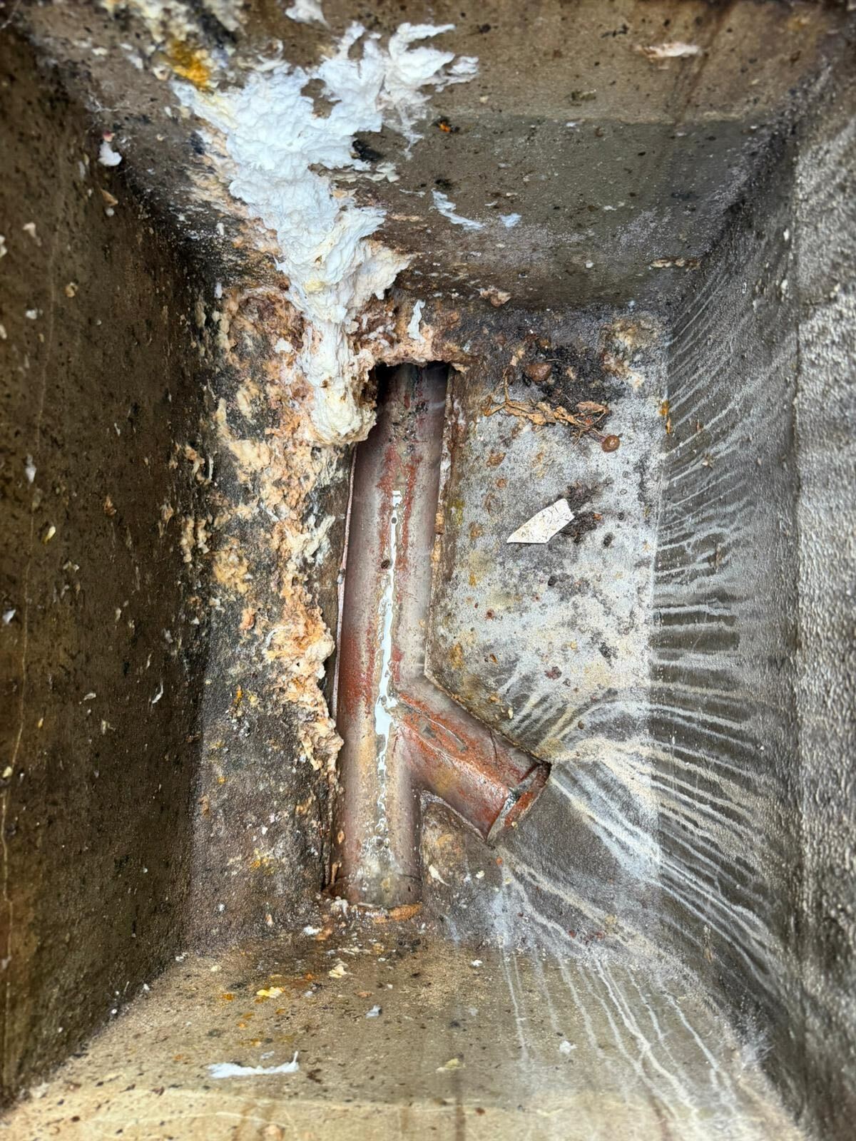 Smell investigation revealing defective drain inlet positioning