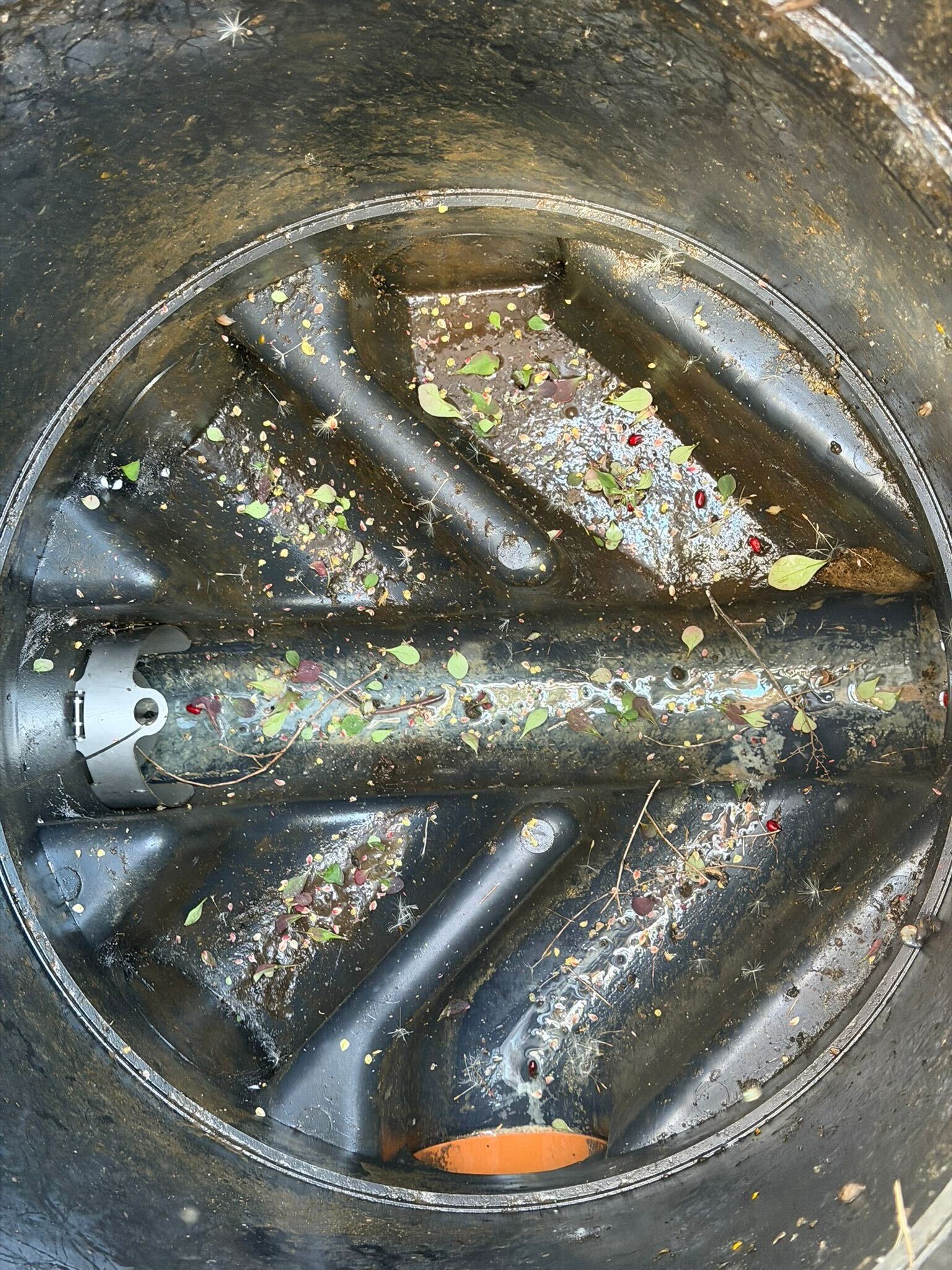 Rat guard installation to resolve pest issues at housing development in Reading